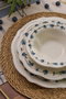 Hermia Blueberry Juego de Cena de Porcelana de 24 Piezas en Blanco, Azul y Verde